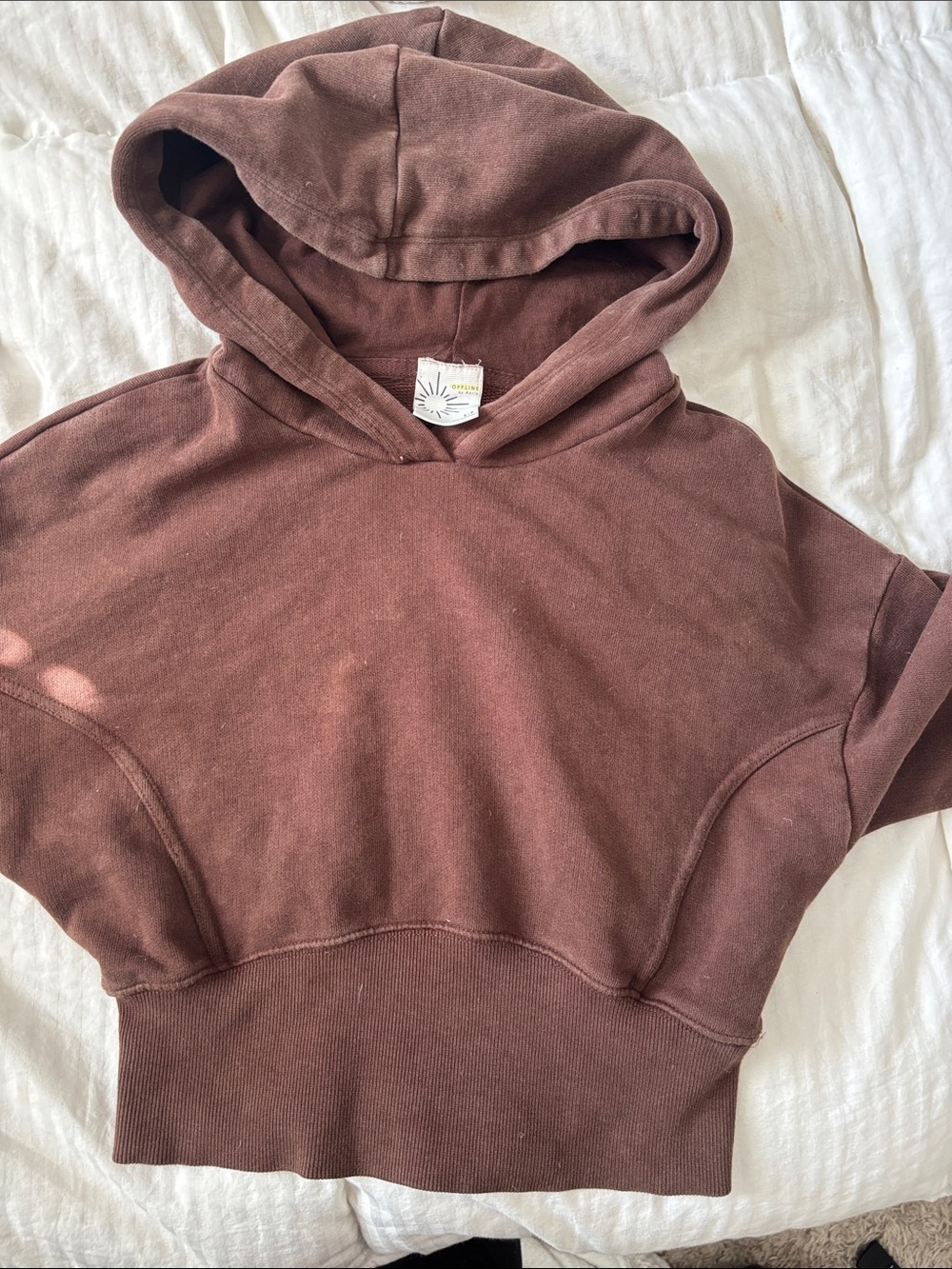 aerie Mauve-Brown Cropped Hoodie